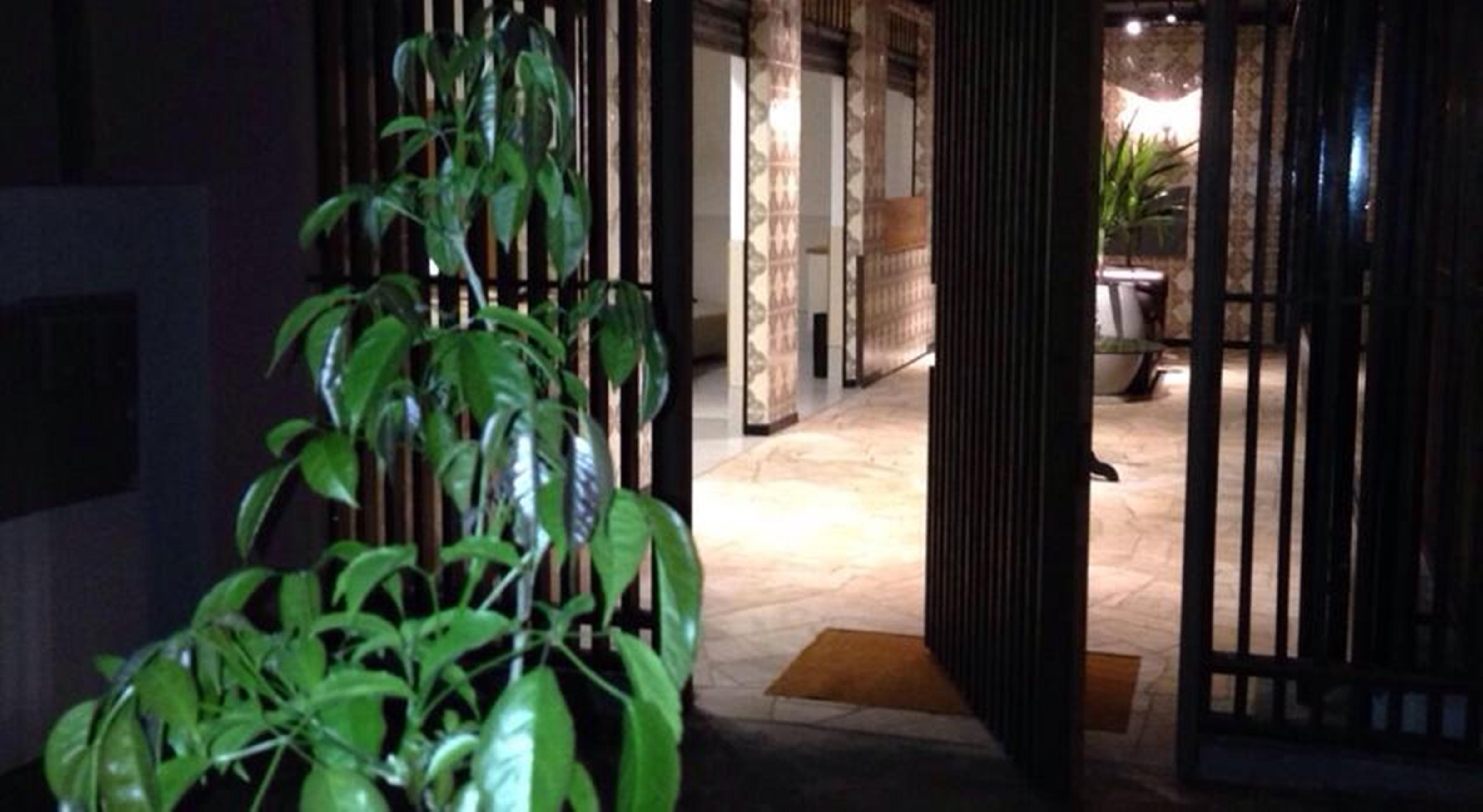 Vespasiano Hotel Telêmaco Borba מראה חיצוני תמונה